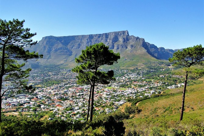 Historical City & Table Mountain - Reviews