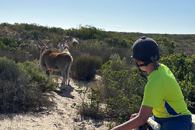 Horse Back Safari on the West Coast - Directions and Product Code for Booking