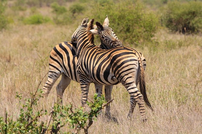 Horseback Safari - Reviews and Ratings From Previous Travelers