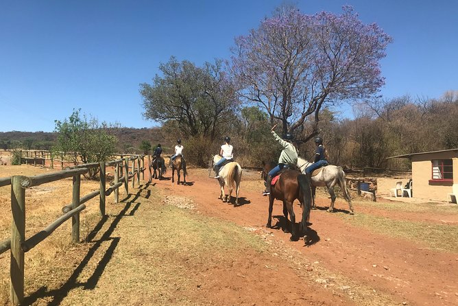 Horseriding Safari Day Tour From Johannesburg - Reviews From Viator Travelers