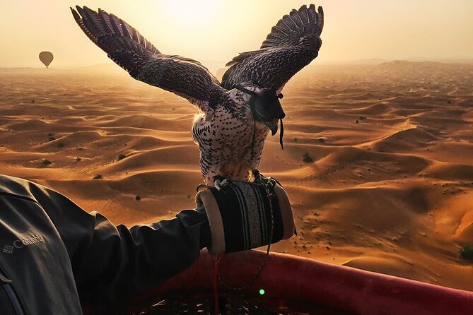 Hot Air Balloon Sightseeing Tour of Dubai by Sunrise - Activity Type