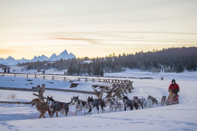 Jackson Hole Half-Day Small-Group Dogsled and Snowmobile Tour - Traveler Reviews and Support