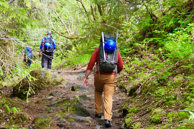Juneau Shore Excursion: Private Mendenhall Glacier Guided Hike - Common Questions