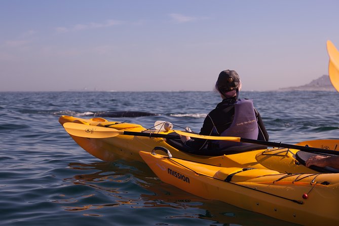 Kayak Chapmans Peak and Karbonkelberg in Hout Bay - Directions