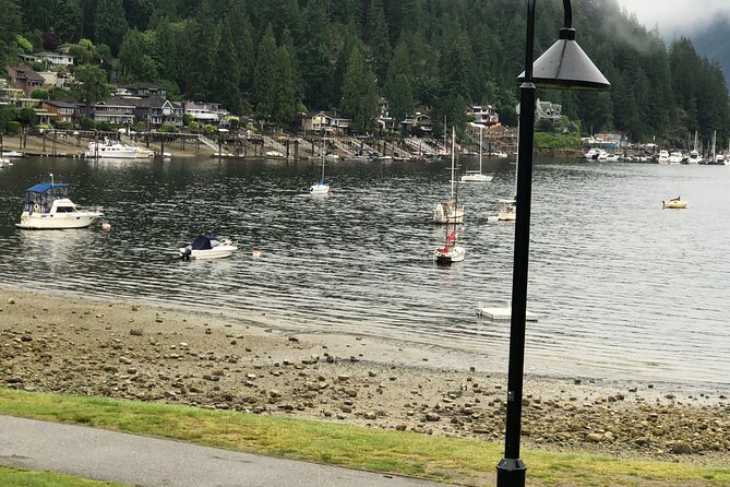 Kayaking Vancouver Tour - Common Questions