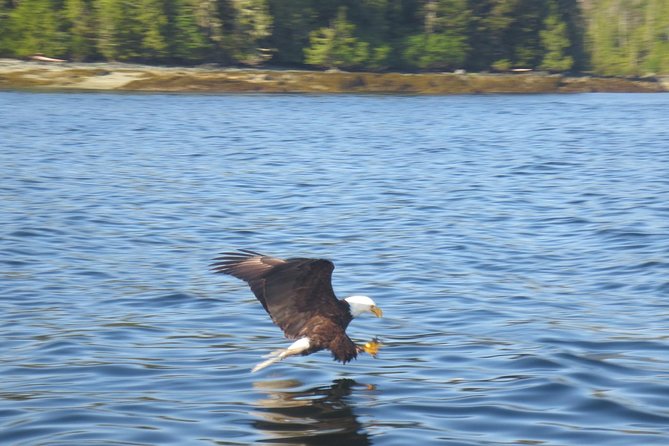 Ketchikan Whale Watching and Nature Tour - Directions