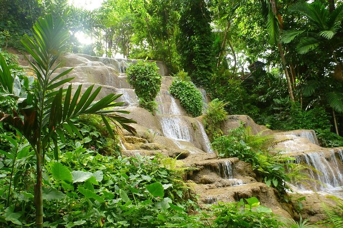 Konoko Falls, Fern Gully, and Shopping Small-Group Tour  - Ocho Rios - Contact and Booking Details