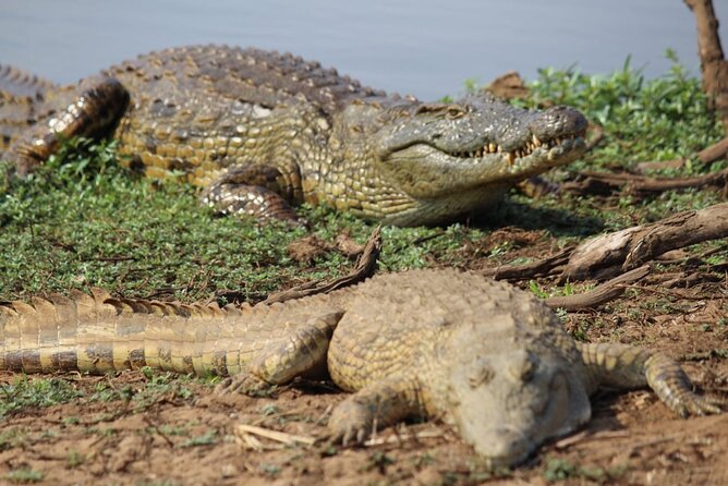 Kruger National Game Park Three Day PRIVATE Tour - Common Questions