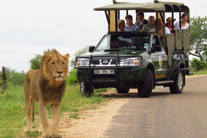 Kruger National Park Afternoon Private Safari - Reviews and Ratings
