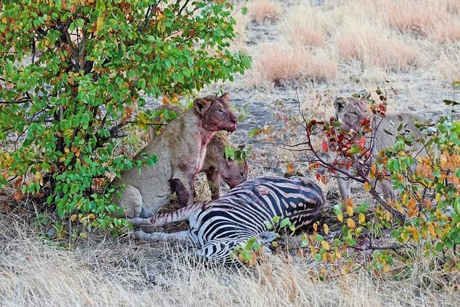 Kruger National Park Full Day Tour Minimum 2people - The Sum Up
