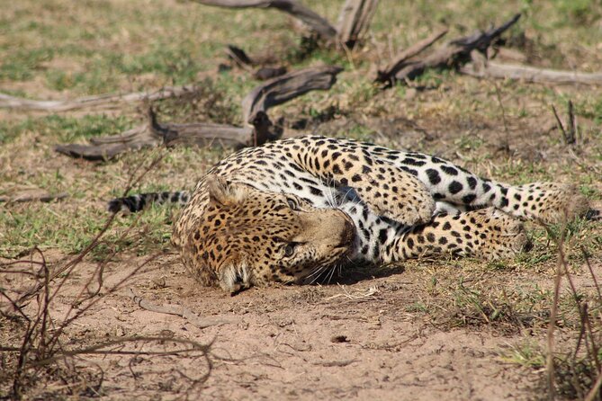 Kruger National Park, Safari Game Drive. - Reviews and Ratings