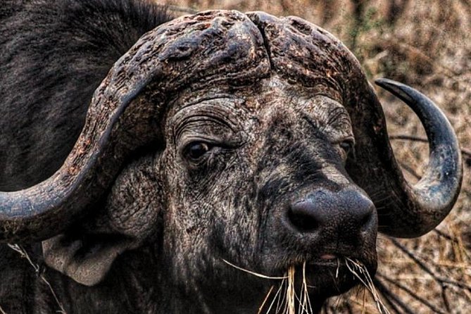 Kruger National Park Sunrise Half-Day Safari Tour - Cancellation Policy