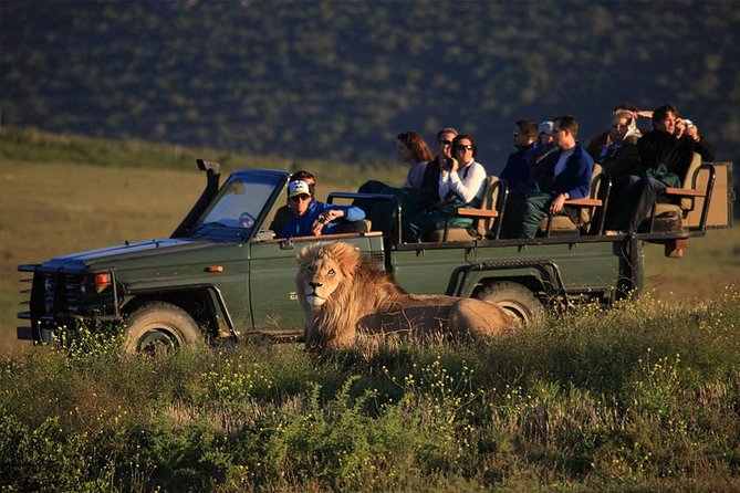 Luxury 2-Day In & Out Garden Route Safari Tour - Booking Information