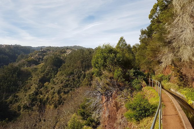 Madeira: Private Camacha Levada Do Tornos Walk - Common Questions