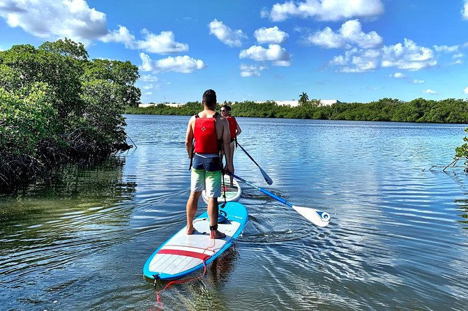 Mangrove SUP Safari - The Sum Up
