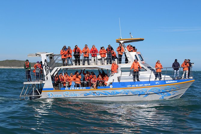 Marine Big 5 Full Day Guided Return Transfer Cape Town - Gansbaai - Traveler Reviews and Testimonials