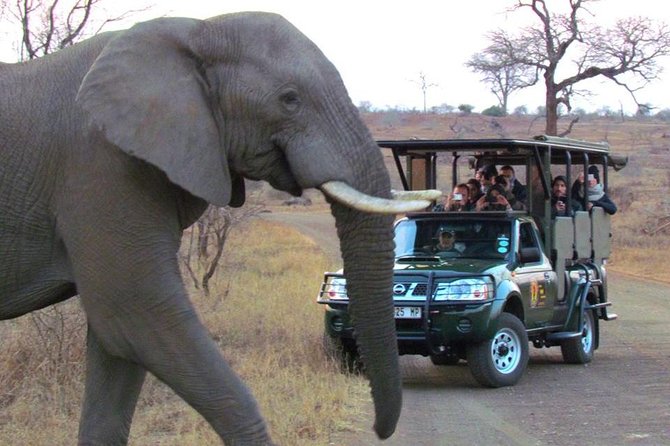 Marloth Park Small-Group Full-Day Kruger Safari  - Mpumalanga - Directions and Logistics