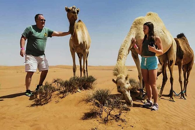 Morning Desert Safari With Camel Ride - Tips for a Memorable Experience