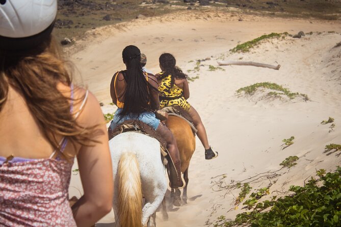 North Coast and Countryside Horseback Riding Tour in Aruba - Directions to the Tour