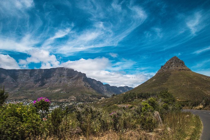 One-Way Hop-On Hop-Off Bus From Port Elizabeth to Cape Town - Questions and Price