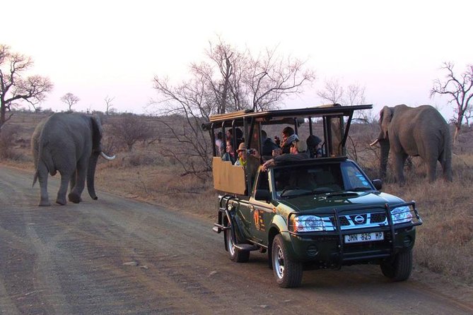 Open Vehical Safari in Kruger National Park Half Day - Assistance and Support for Your Safari Experience