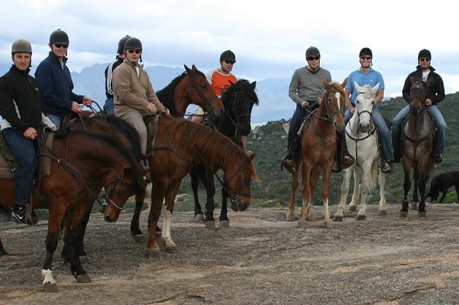 Paarl Horseback Riding Tour  - Stellenbosch - The Sum Up