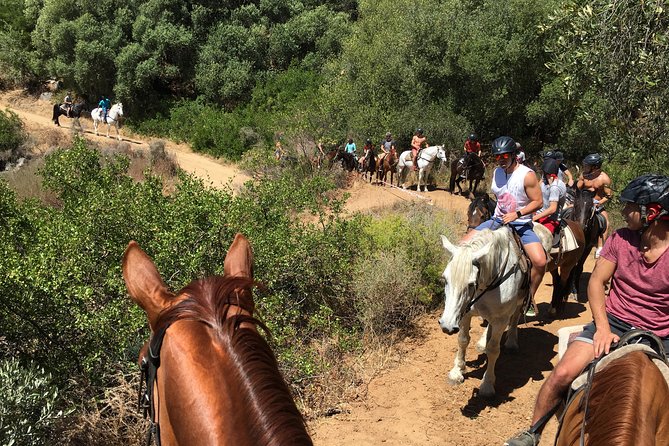 Paarl Small-Group Horseback Riding Tour  - Stellenbosch - Directions