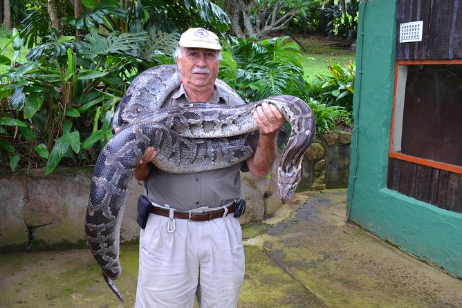 Phezulu Cultural Village & Reptile Park Day Tour From Durban - The Sum Up