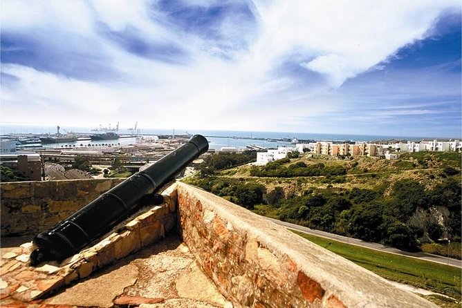 Port Elizabeth Walking City Tour - Background