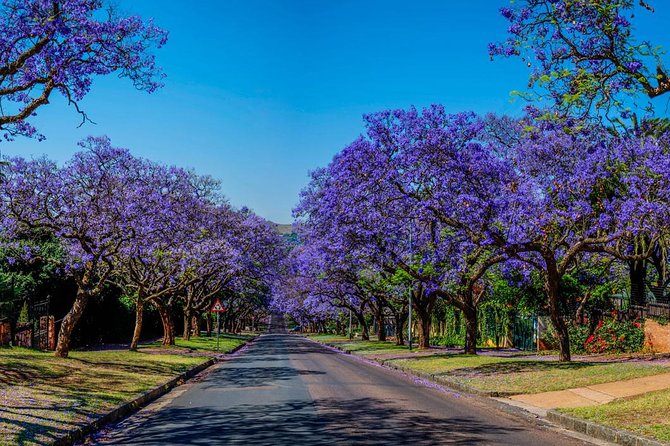 Pretoria City and Diamond Mine Tour - Pricing and Booking Information