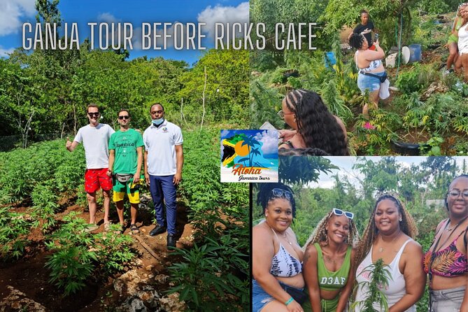 Private 3-5h Natural Herbs Tour, Shopping & Dinner at Ricks Cafe - Shopping Experience