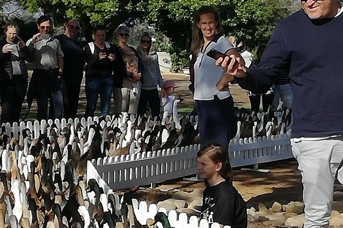 Private Cape Winelands Guided Full Day Tour From Cape Town - Traveler Reviews and Recommendations