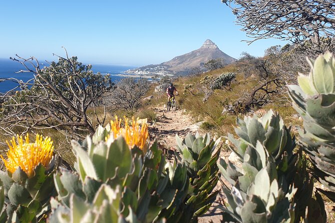 Private E-Bike Cape Town MTB Trails With a Pro - Directions