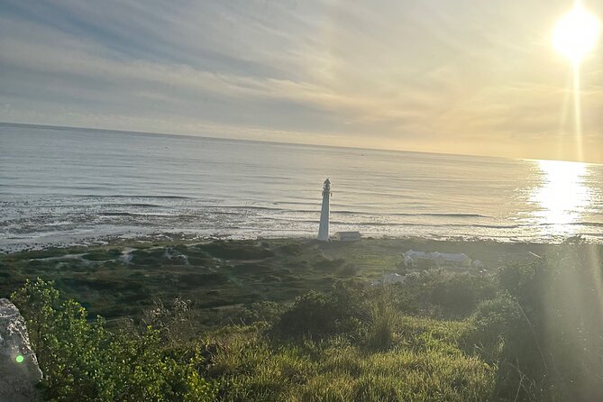 Private Guided Tour in Cape of Good Hope and Table Mountain - Insider Tips