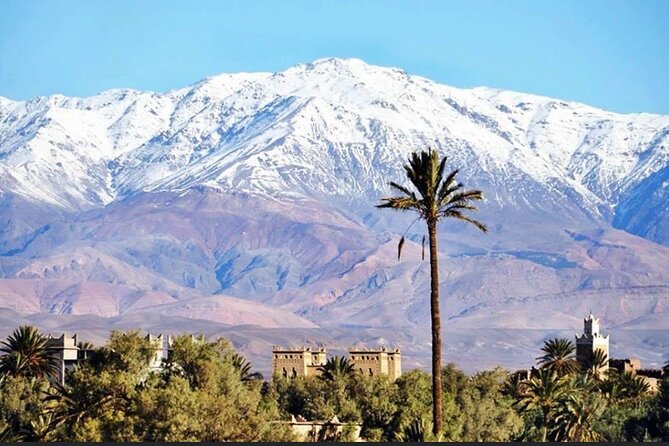 Private Half-Day Mountain Biking Excursion to Discover the Palm Grove of Skoura - The Sum Up