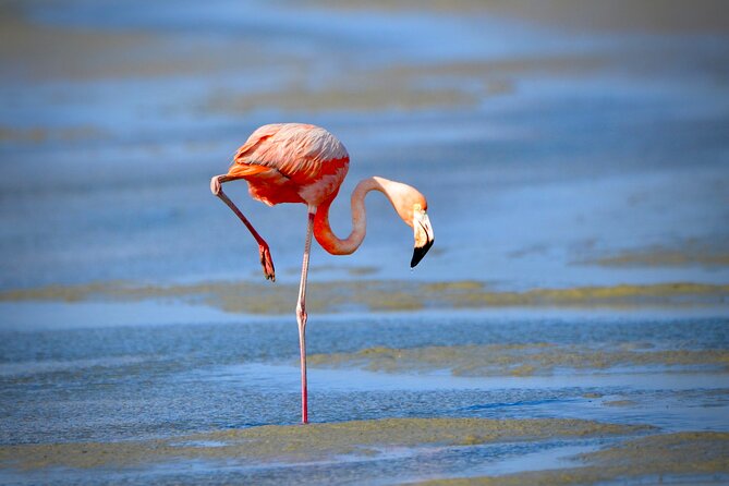 Private Island & Snorkeling Tour - Cancellation Policy and Booking Information