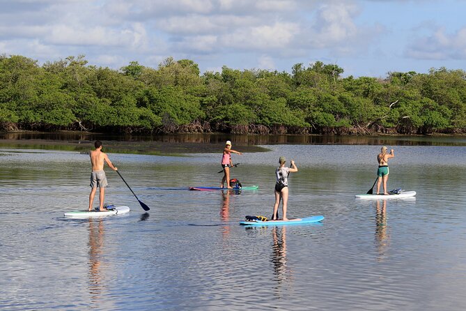 Private PADDLE-BOARD and YACHT Adventure - Safety Guidelines and Preparations
