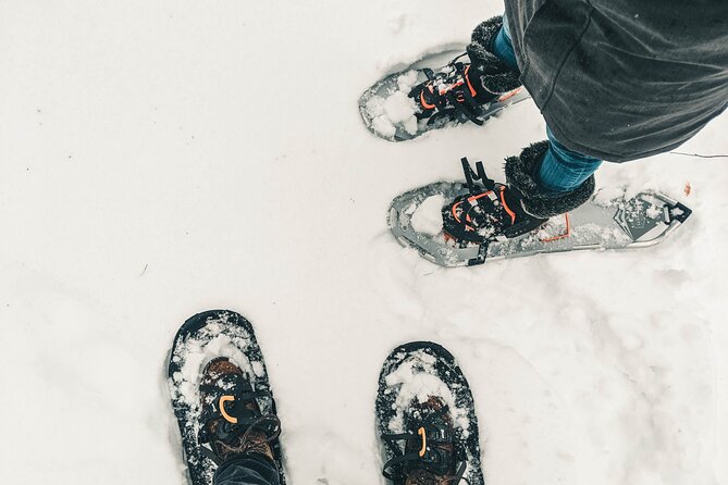 Private Snowshoeing Adventure From Badger Pass to Dewey Point - Common Questions