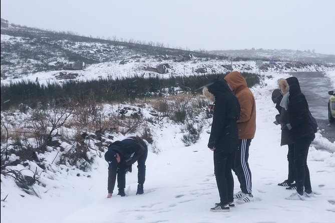 Private Tour Through Serra Da Estrela Park and Its Famous Cheese - Cancellation Policy and Reviews