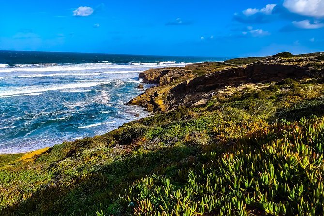 Private Tour West Coast Full Day - Common Questions