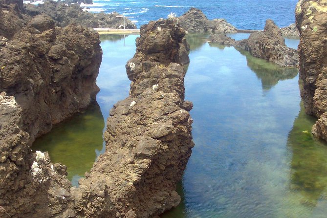 Private Waterfalls and Fanal Forest Tour - Customer Reviews
