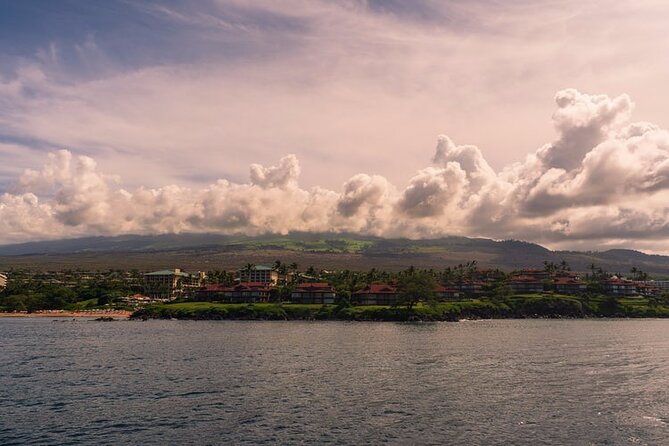 Road to Hana Private Tour With Local Guide - Viator and Tripadvisor Ratings