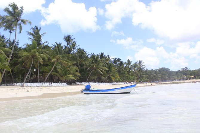 Saona Island Full-day Trip Open Bar, Lunch and (Snorkeling Free ) - Tour Companys Response and Clarification