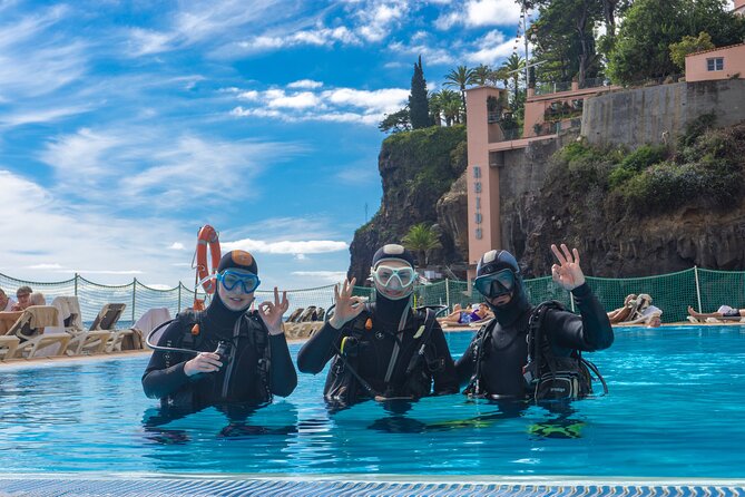 Scuba Diving Experience for Beginners - Contact and Support