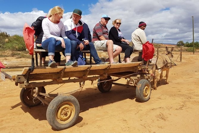 Skip the Line: Highgate Ostrich Farm Tour Ticket - Additional Information