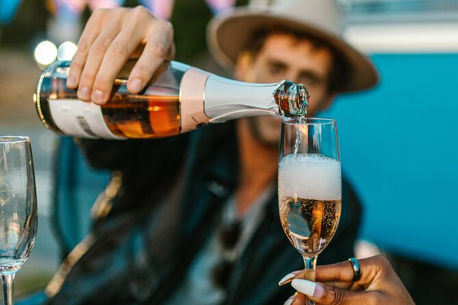 Small Group Tour to Stellenbosch With Wine Tasting - Designated Expert Wine Tour Guide