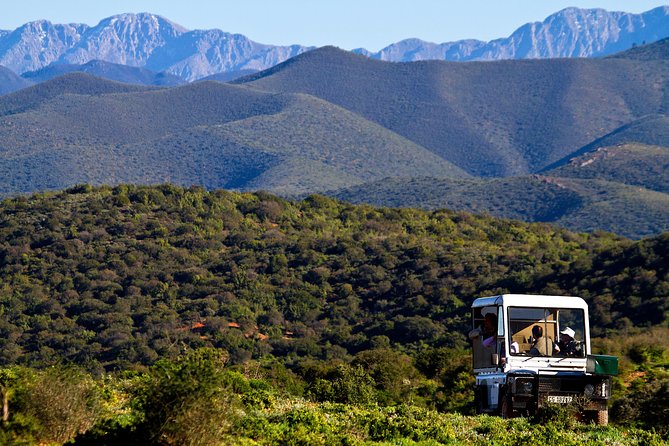 South African Bush Safari in Oudtshoorn  - Western Cape - Reviews and Questions