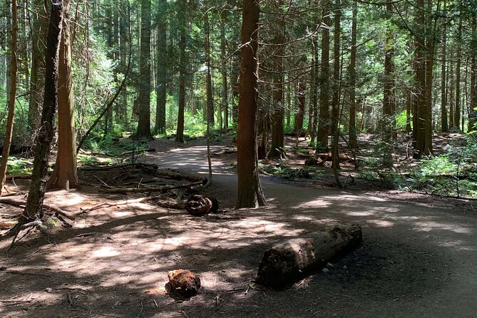 Spirit Of Vancouver Bike or Ebike Tour - Common Questions