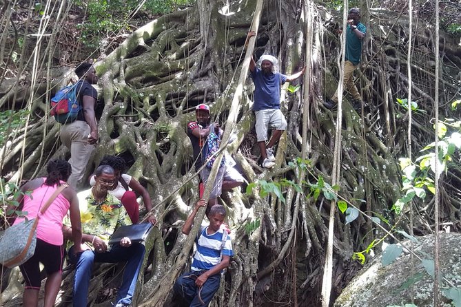 St Kitts Half-Day Rainforest Tour - Additional Activities at the Rainforest Site