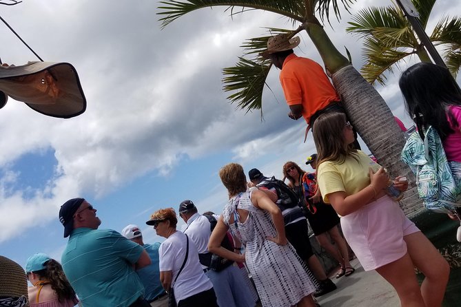 St. Thomas Swimming and Shopping Tour  - St Thomas - Inclusions and Exclusions